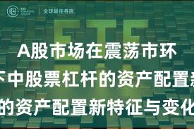 A股市场在震荡市环境背景下中股票杠杆的资产配置新特征与变化